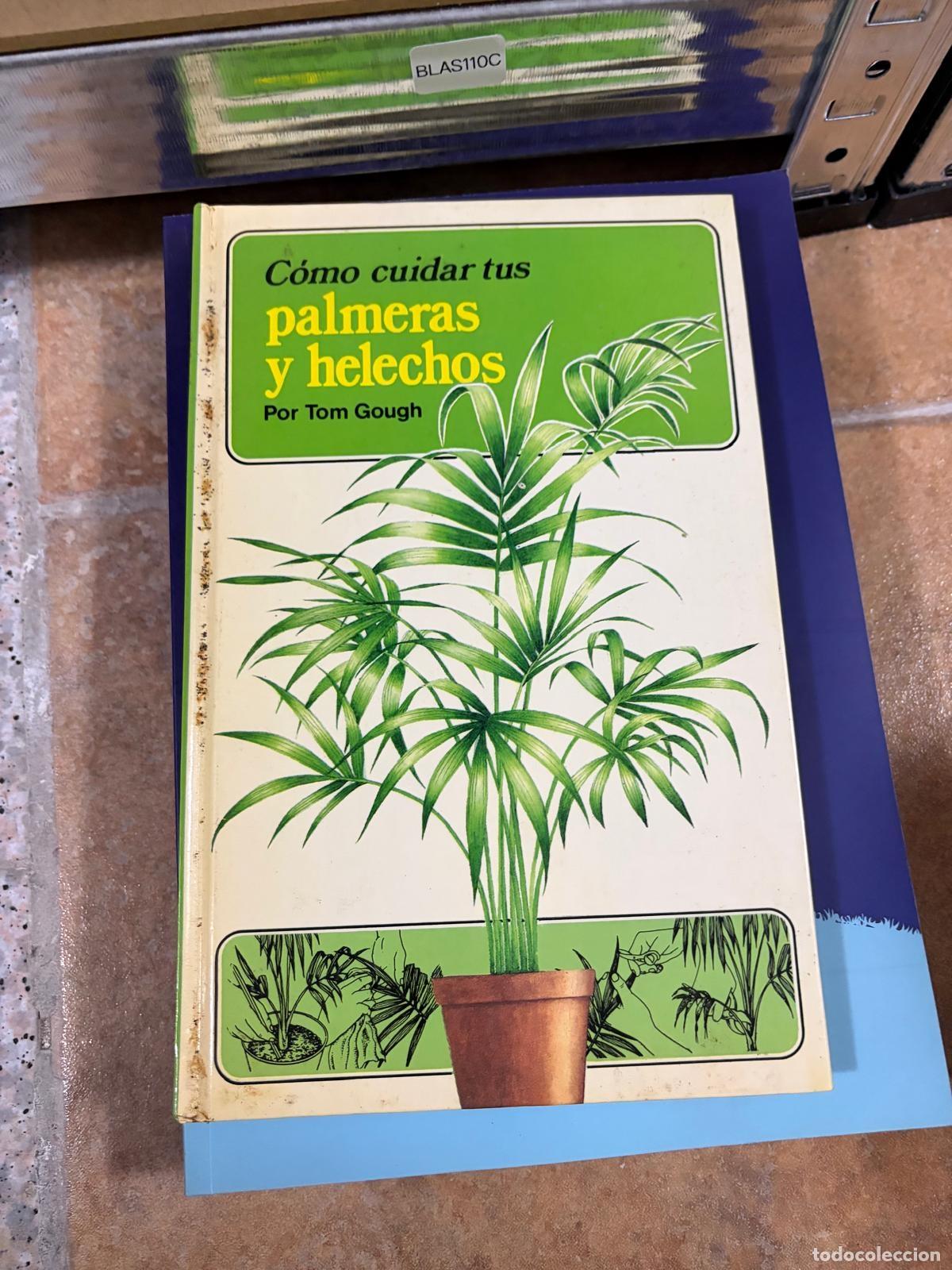 Libros de segunda mano: BLAS110C C&oacute;mo cuidar tus palmeras y helechos Tom Gough -