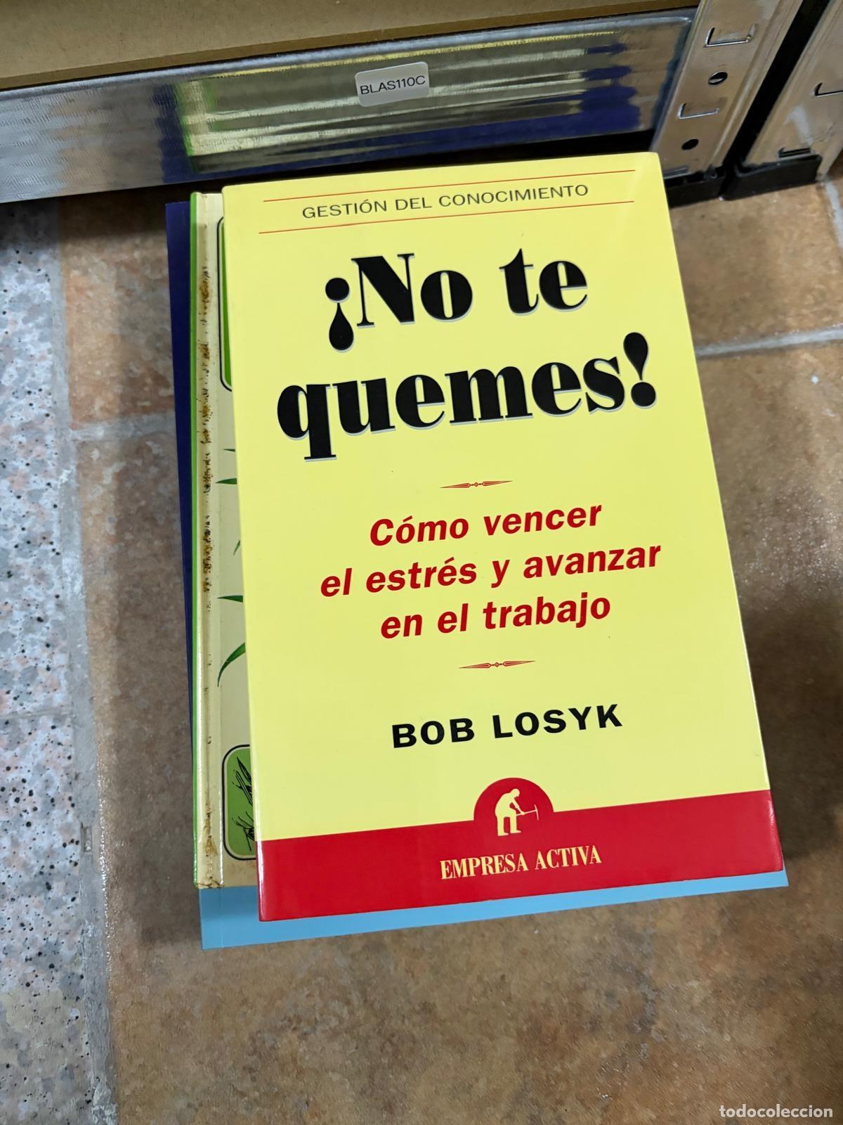 Libros de segunda mano: BLAS110C &iexcl;No te quemes! C&oacute;mo vencer el estr&eacute;s y avanzar en el trabajo Bob Losyk Empresa Activa