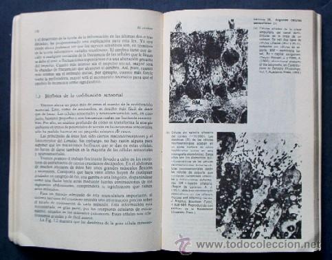 Libros de segunda mano: EL CEREBRO - Foto 4