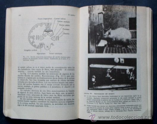 Libros de segunda mano: EL CEREBRO - Foto 5