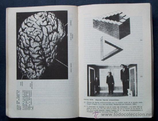 Libros de segunda mano: EL CEREBRO - Foto 6