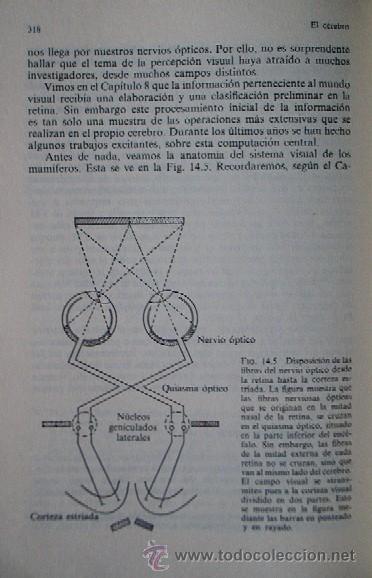 Libros de segunda mano: EL CEREBRO - Foto 7