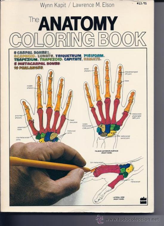 Download the anatomy coloring book. wynn kapit / lawrenc - Comprar ...