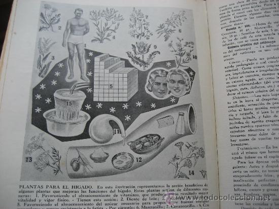 Libros de segunda mano: Plantas Medicinales. Dr. Vander. 1955. - Foto 4