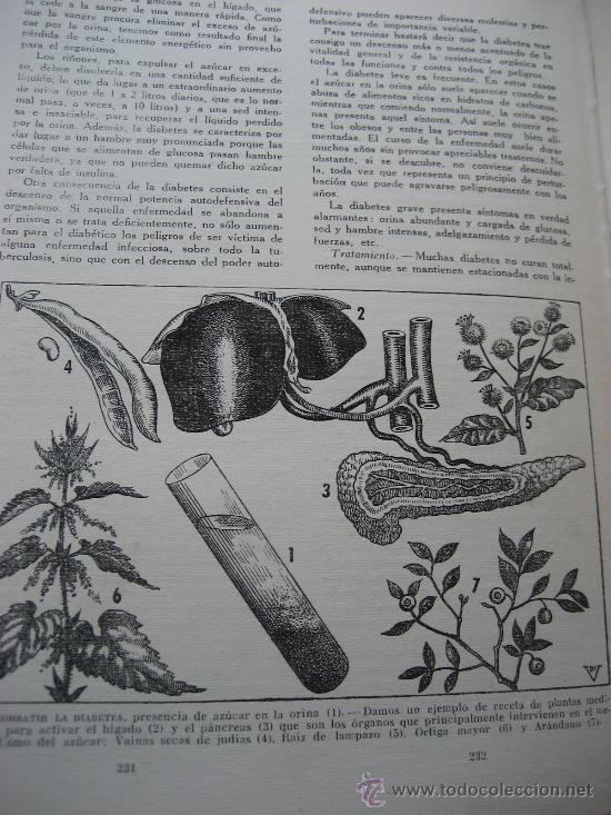 Libros de segunda mano: Plantas Medicinales. Dr. Vander. 1955. - Foto 5