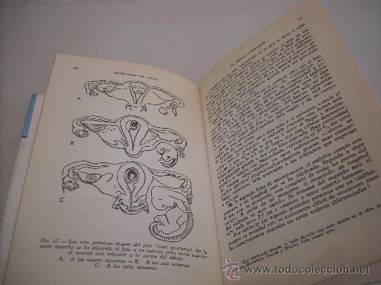 Libros de segunda mano: MATERNIDAD SIN DOLOR. FREDERICK W. GOODRICH. EDICIONES DAIMON. - Foto 2