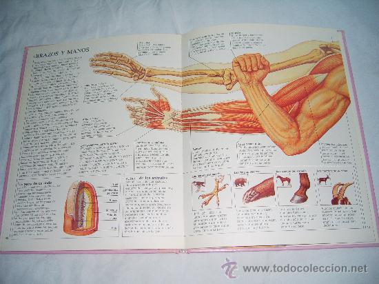 Libros de segunda mano: COMO FUNCIONA NUESTRO CUERPO - Foto 3