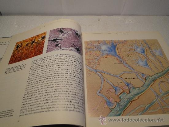 Libros de segunda mano: DROGAS Y CEREBRO ---SOLOMONH.SNYDER - Foto 2