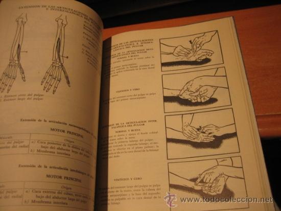 pruebas funcionales musculares tecnicas manuale - Comprar Libros de
