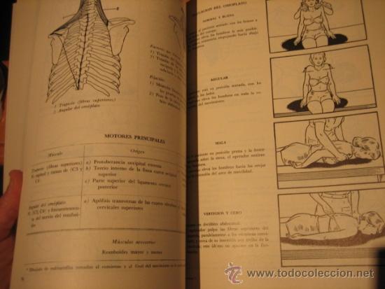 pruebas funcionales musculares tecnicas manuale - Comprar Libros de