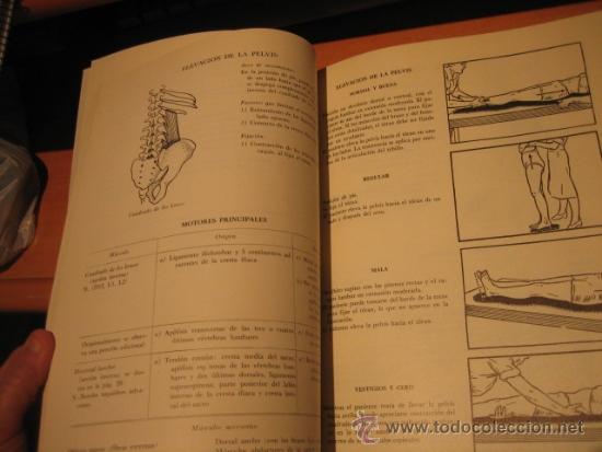 pruebas funcionales musculares tecnicas manuale - Comprar Libros de