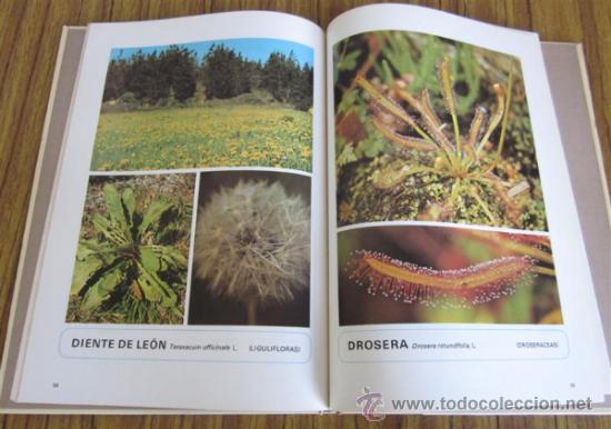 Libros de segunda mano: HIERBAS MEDICINALES - Foto 4
