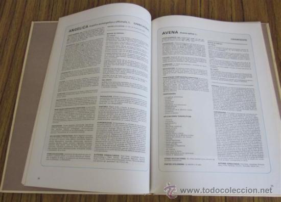 Libros de segunda mano: HIERBAS MEDICINALES - Foto 5