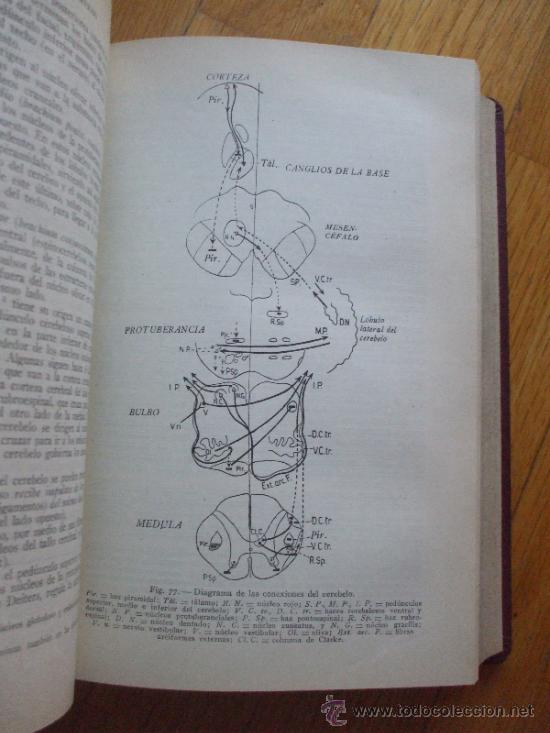 Libros de segunda mano: FISIOLOGIA APLICADA, Samson Wright, 4 edicion 1944 - Foto 4