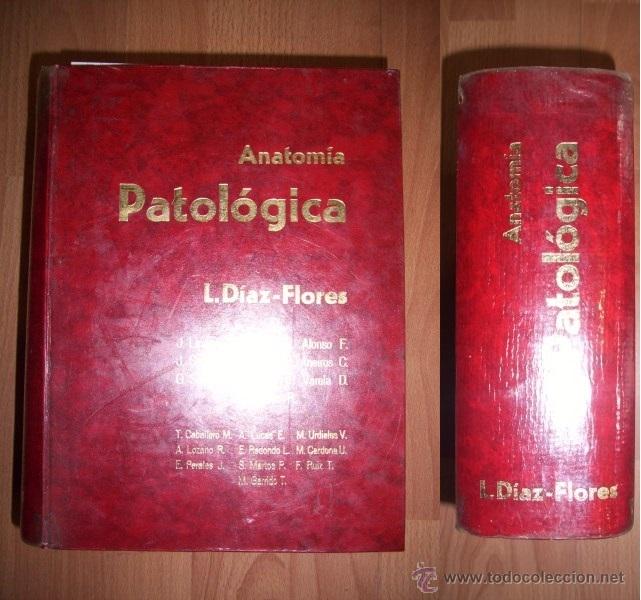 Second hand books: D&Iacute;AZ-FLORES, L. Anatom&iacute;a patol&oacute;gica