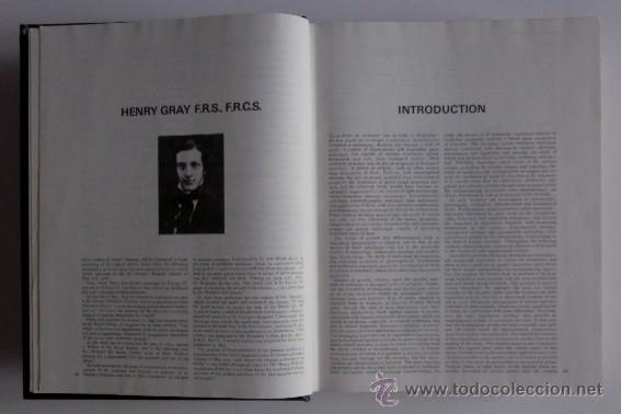 Libros de segunda mano: GRAYS ANATOMIY - LONGMAN 1973 - Foto 5