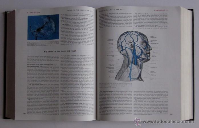 Libros de segunda mano: GRAYS ANATOMIY - LONGMAN 1973 - Foto 6