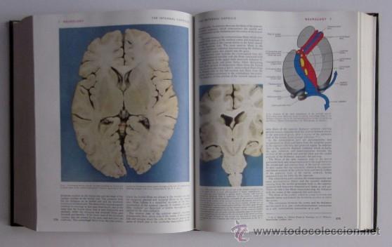 Libros de segunda mano: GRAYS ANATOMIY - LONGMAN 1973 - Foto 7