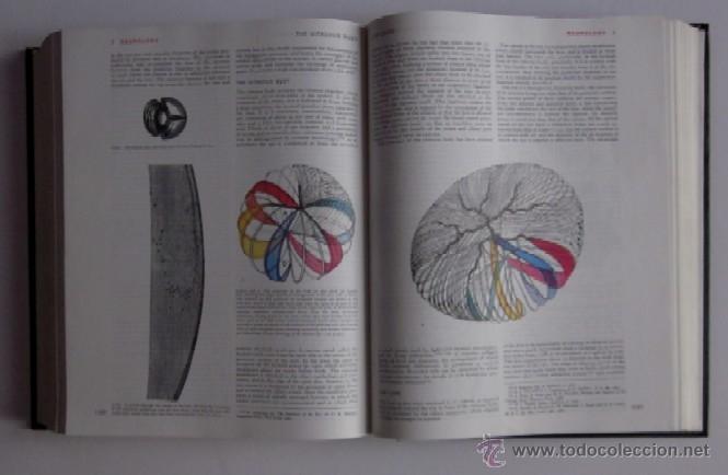 Libros de segunda mano: GRAYS ANATOMIY - LONGMAN 1973 - Foto 8