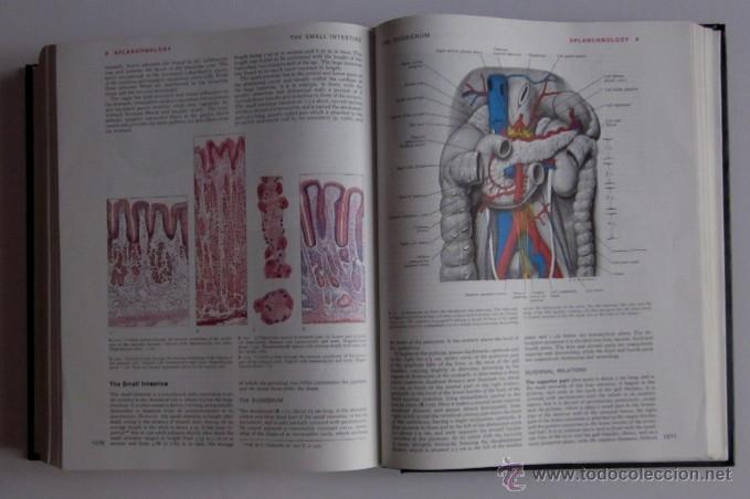 Libros de segunda mano: GRAYS ANATOMIY - LONGMAN 1973 - Foto 9