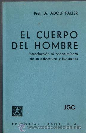 Libros de segunda mano: El Cuerpo del Hombre, Adolf Faller - Foto 1