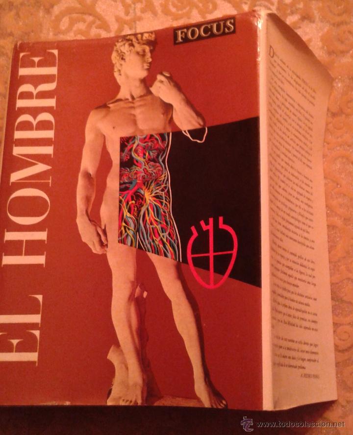 Libros de segunda mano: EL HOMBRE -FOCUS - Foto 1