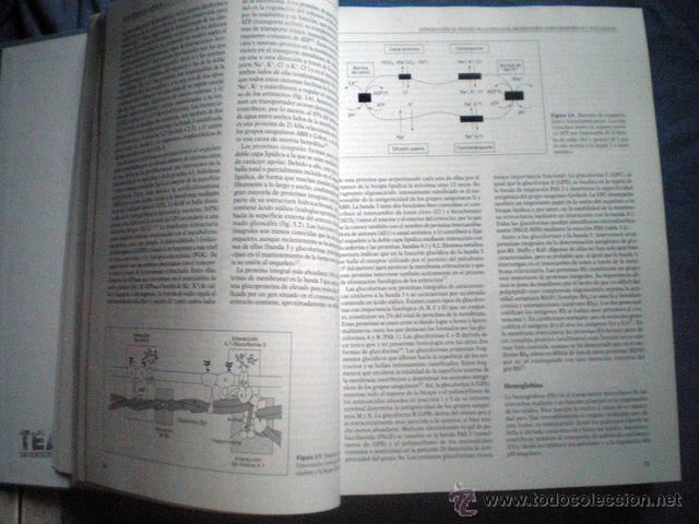 libro hematologia clinica 4ª edicion sans sabra - Comprar Libros de