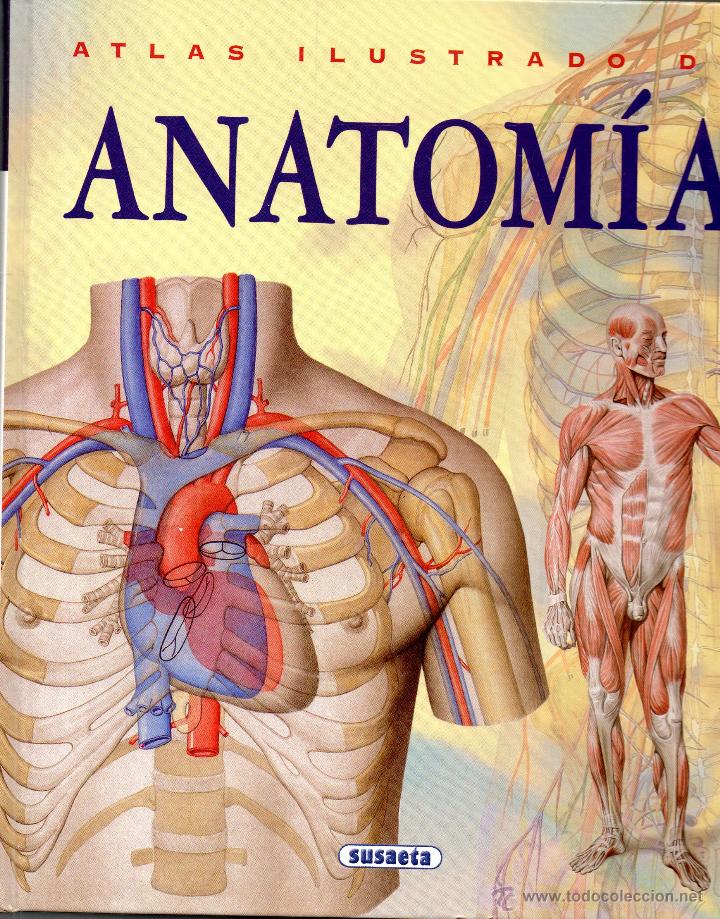. libro atlas ilustrado de anatomia - Comprar Libros de ...