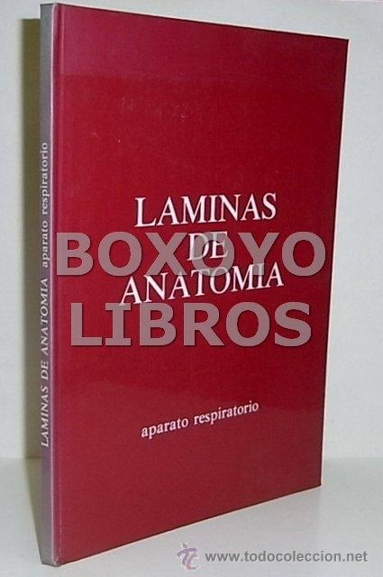 Libros de segunda mano: L&aacute;minas de Anatom&iacute;a. Aparato respiratorio - Foto 1