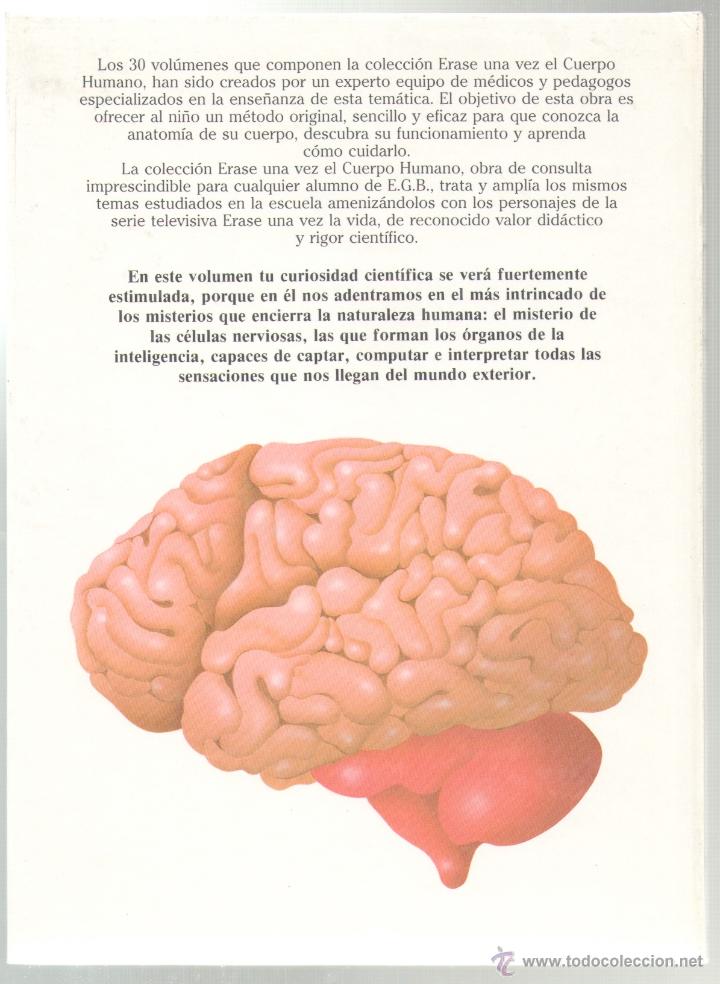 Erase Una Vez El Cuerpo Humano - El cerebro 