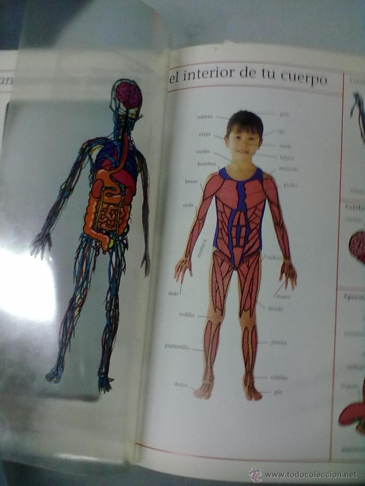 Libros de segunda mano: MI PRIMER LIBRO DEL CUERPO HUMANO - Foto 2