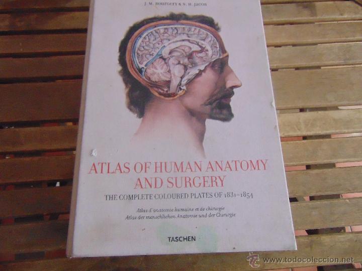 Atlas of human anatomy and surgery 1831 1854 j. - Vendido en Venta