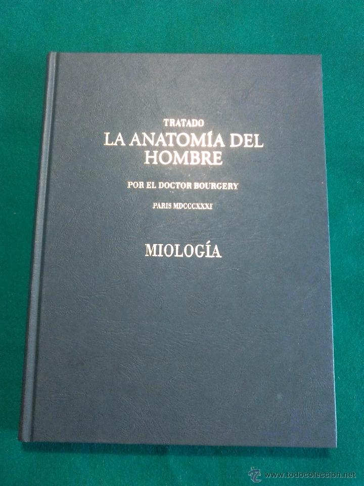 Libri di seconda mano: LA ANATOMIA DEL HOMBRE .- DOCTOR BOURGERY 1831 .- MIOLOGIA .- FACSIMIL ERGON 2004