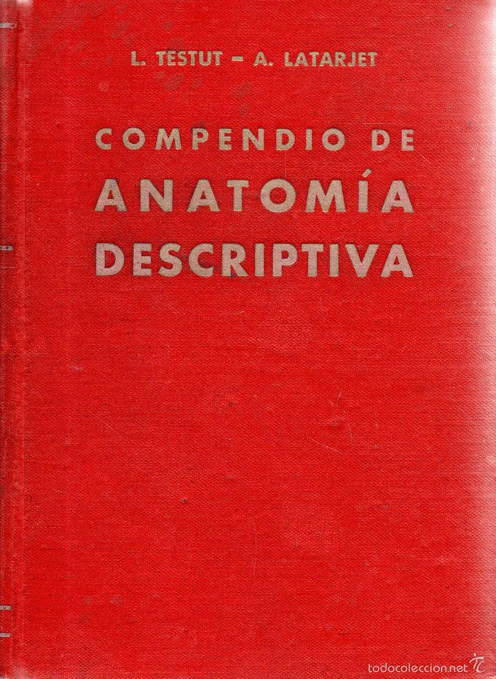 COMPENDIO DE ANATOMIA DESCRIPTIVA TESTUT LATARJET DESCARGAR GRATIS PDF