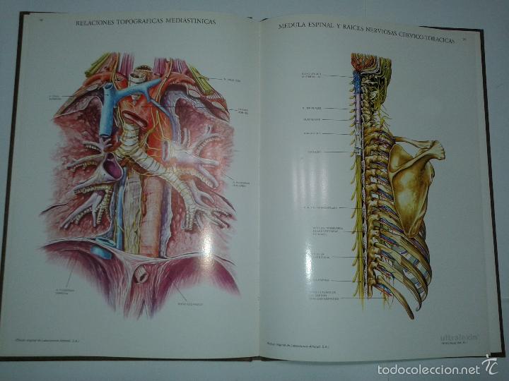 Libros de segunda mano: DETALLE - Foto 3
