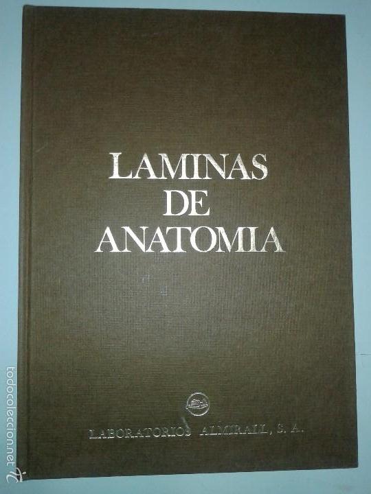 Libros de segunda mano: L&Aacute;MINAS DE ANATOM&Iacute;A   ALMIRALL - Foto 1