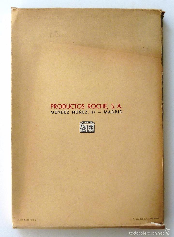 Libros de segunda mano: LAMINAS HEMATOLOGICAS. LABORATORIOS ROCHE. 15 LAMINAS. - Foto 2