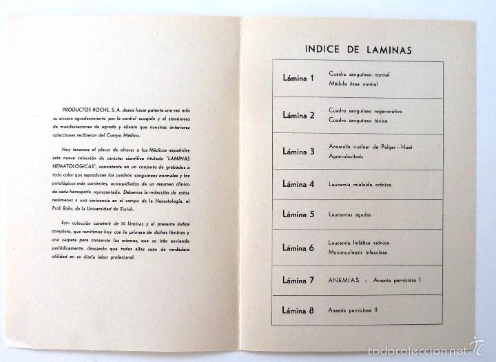 Libros de segunda mano: LAMINAS HEMATOLOGICAS. LABORATORIOS ROCHE. 15 LAMINAS. - Foto 3