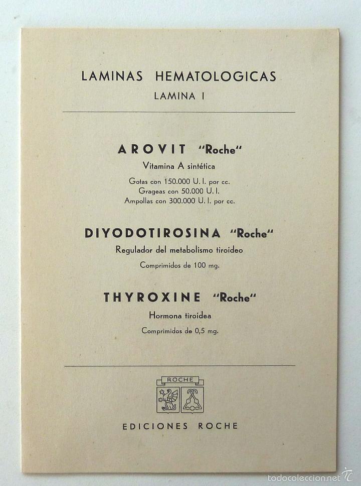Libros de segunda mano: LAMINAS HEMATOLOGICAS. LABORATORIOS ROCHE. 15 LAMINAS. - Foto 5