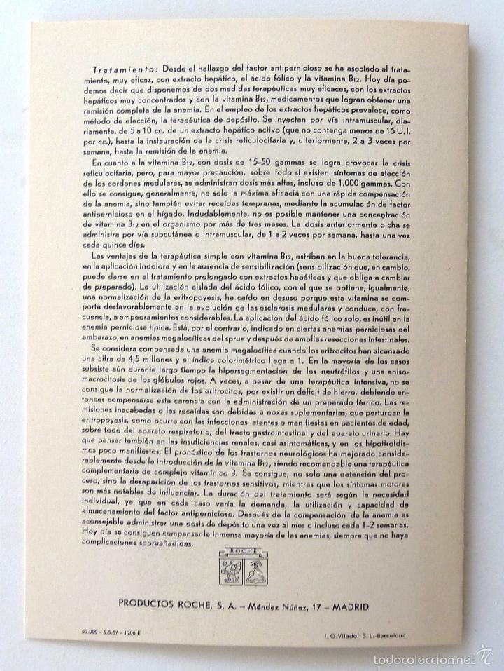 Libros de segunda mano: LAMINAS HEMATOLOGICAS. LABORATORIOS ROCHE. 15 LAMINAS. - Foto 9