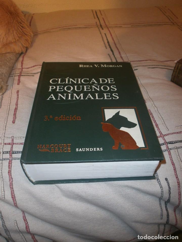 Gebrauchte B&uuml;cher: Cl&iacute;nica de peque&ntilde;os animales - Rhea V. Morgan 3&ordf; edicion Harcourt Brace Saunders 1998 1536 pg.