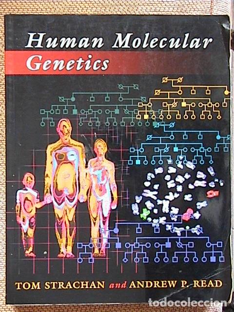 Libros de segunda mano: Human molecular genetics. - Foto 1