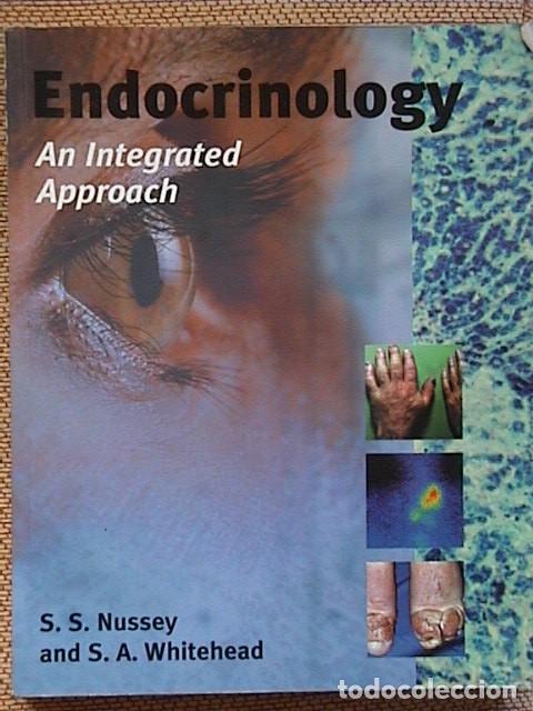 Libros de segunda mano: endocrynology;  An integrated approach. - Foto 1