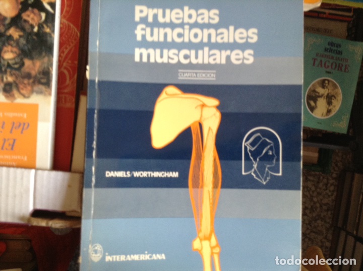 Libros de segunda mano: Pruebas funcionales musculares. Daniela - Foto 1