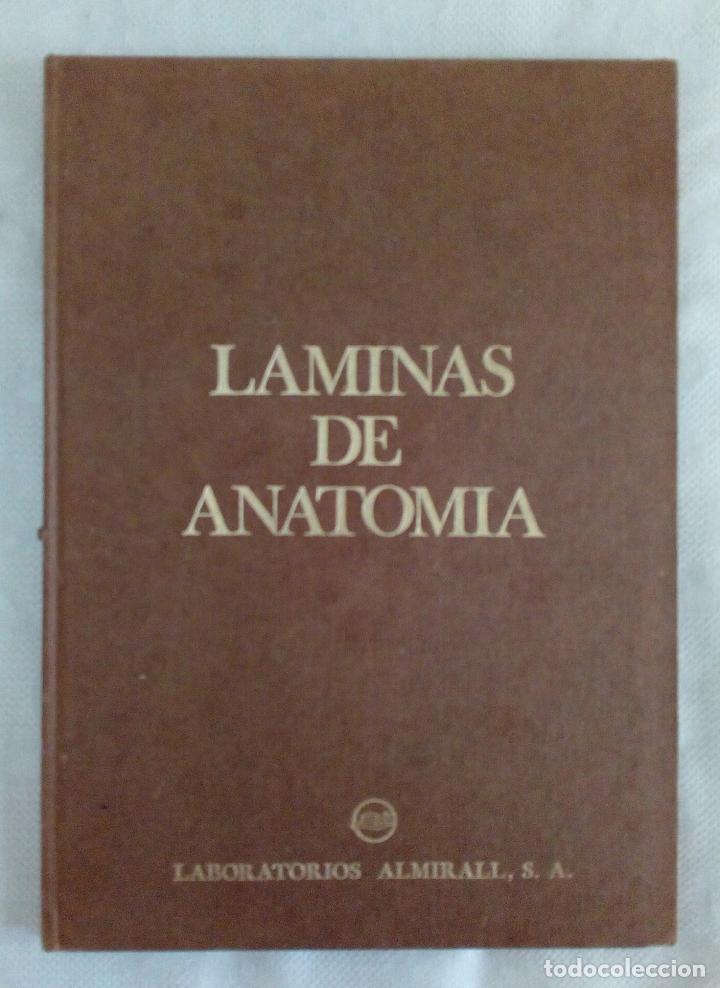 Libros de segunda mano: L&Aacute;MINAS DE ANATOM&Iacute;A - LABORATORIOS ALMIRALL  1975 - Foto 1
