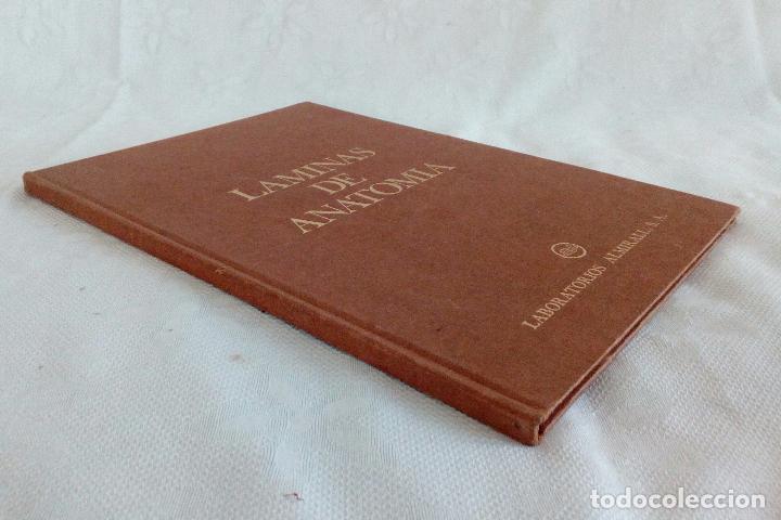 Libros de segunda mano: L&Aacute;MINAS DE ANATOM&Iacute;A - LABORATORIOS ALMIRALL  1975 - Foto 2