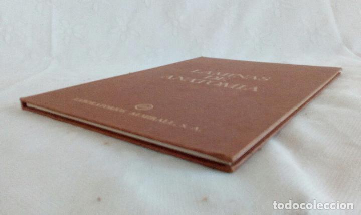 Libros de segunda mano: L&Aacute;MINAS DE ANATOM&Iacute;A - LABORATORIOS ALMIRALL  1975 - Foto 3