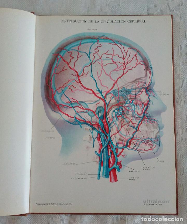 Libros de segunda mano: L&Aacute;MINAS DE ANATOM&Iacute;A - LABORATORIOS ALMIRALL  1975 - Foto 5