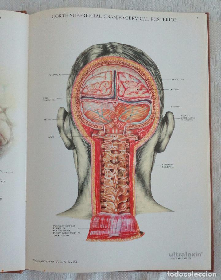 Libros de segunda mano: L&Aacute;MINAS DE ANATOM&Iacute;A - LABORATORIOS ALMIRALL  1975 - Foto 6