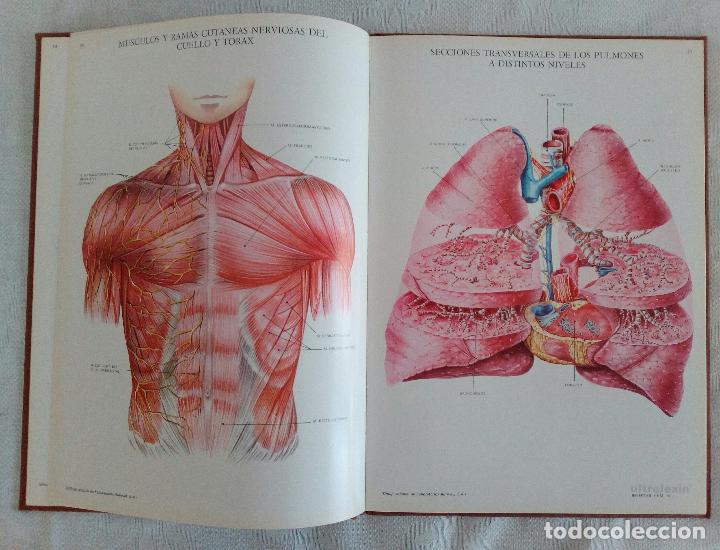Libros de segunda mano: L&Aacute;MINAS DE ANATOM&Iacute;A - LABORATORIOS ALMIRALL  1975 - Foto 7